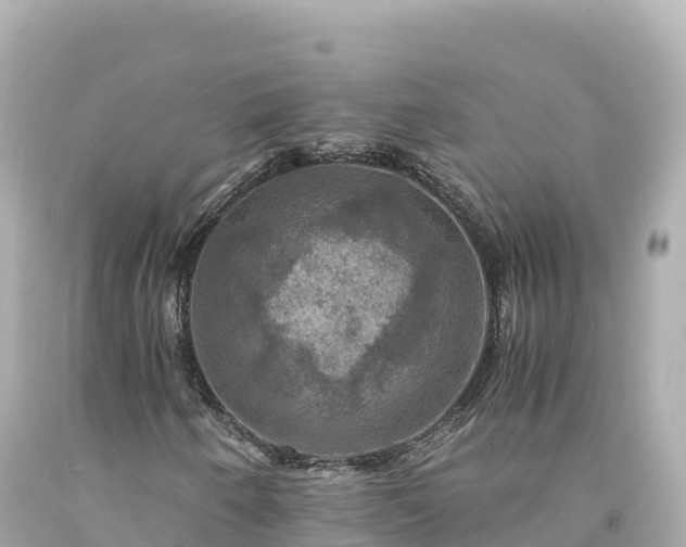 X0000094221250200711021131