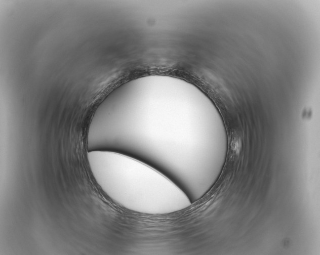 X0000094221252200711021131