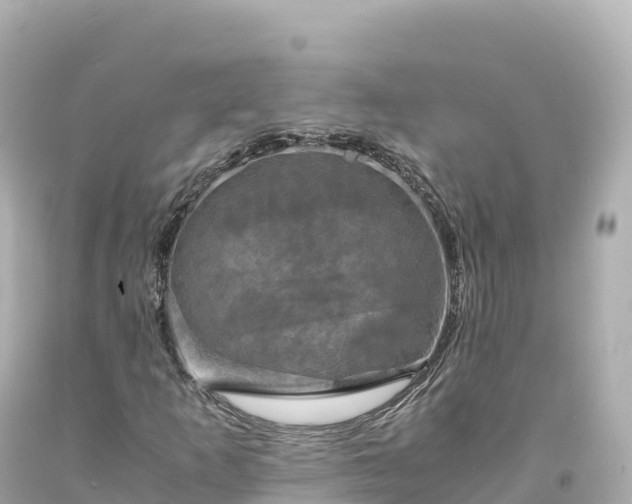 X0000094221253200711021131