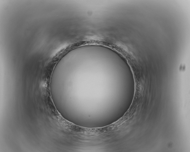 X0000094221254200711021131