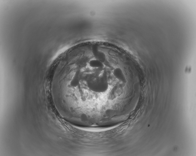 X0000094221255200711021131