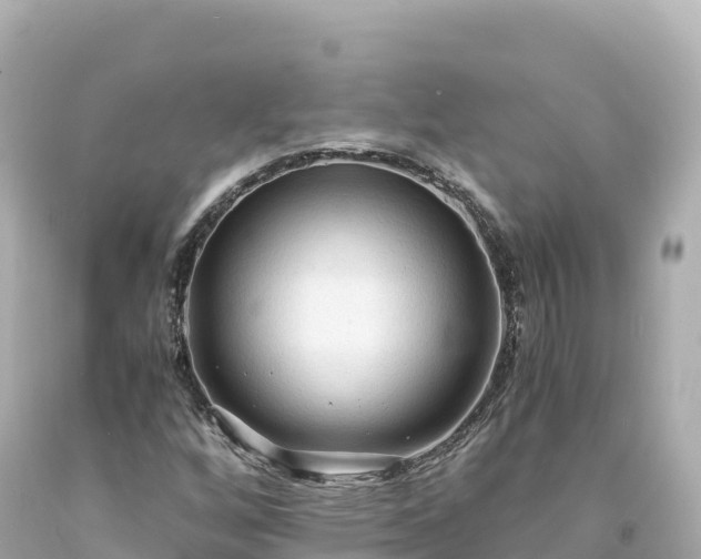 X0000094221256200711021131