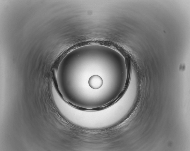 X0000094221257200711021131