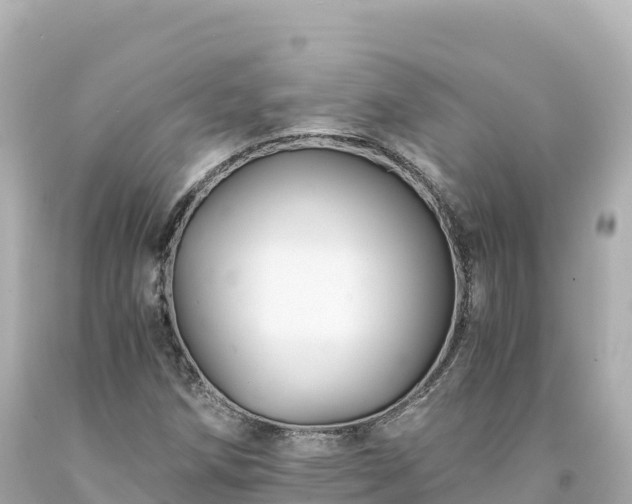 X0000094221258200711021131