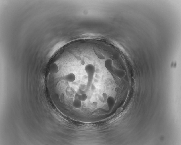 X0000094221259200711021131