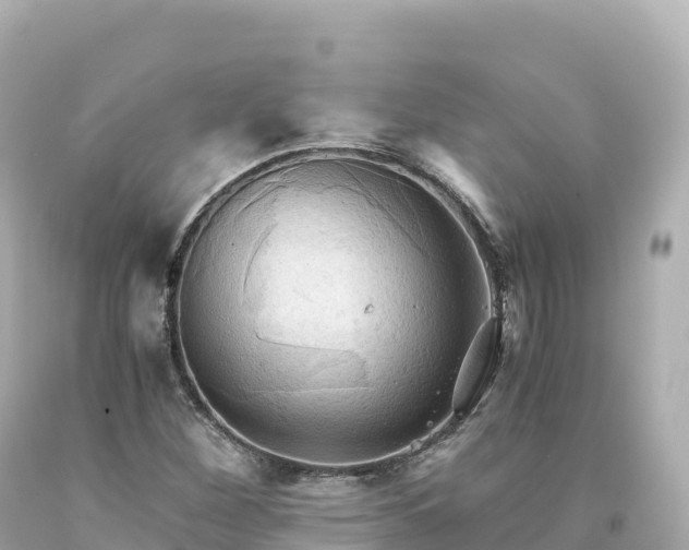 X0000094221260200711021131