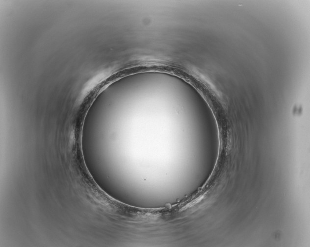 X0000094221261200711021131