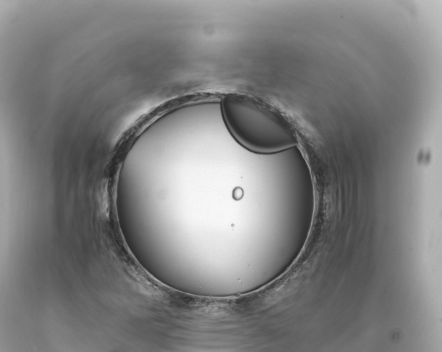 X0000094221262200711021131