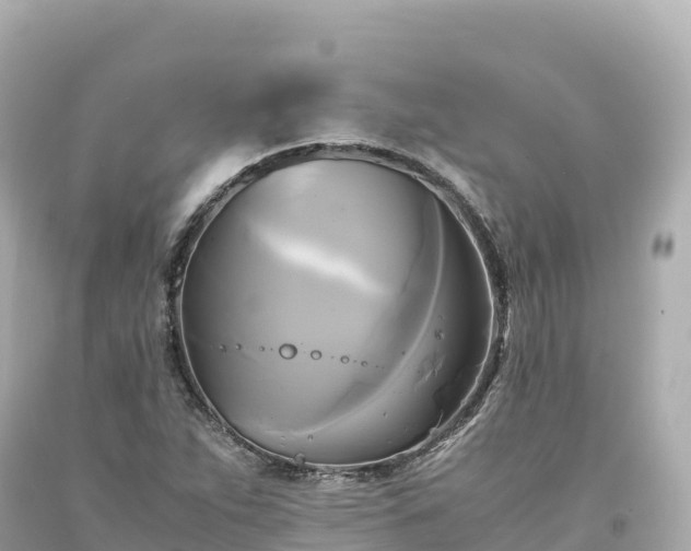 X0000094221263200711021131