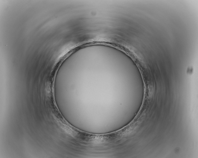 X0000094221266200711021131