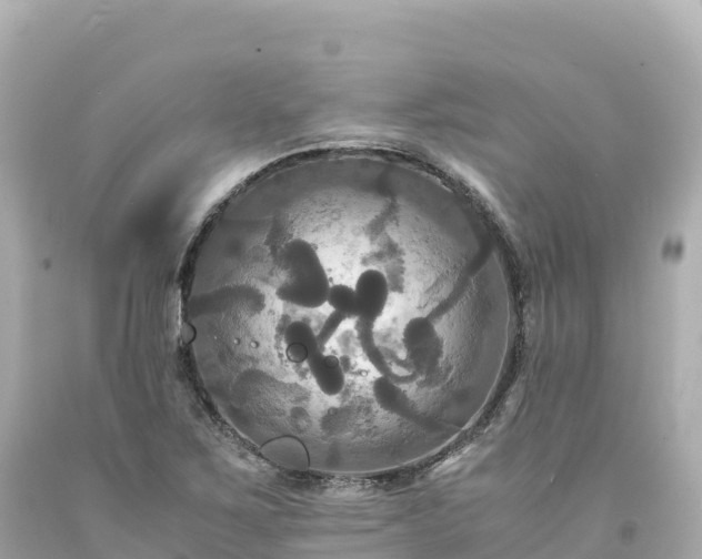 X0000094221267200711021131