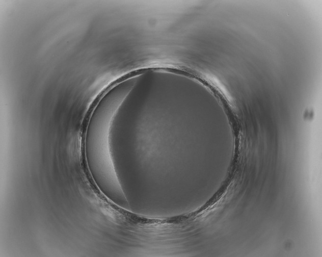 X0000094221268200711021131