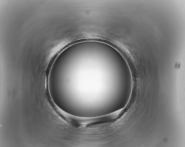 X0000094221269200711021131