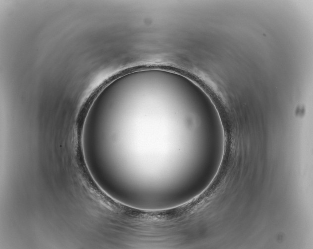 X0000094221270200711021131