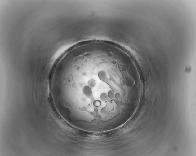 X0000094221271200711021131