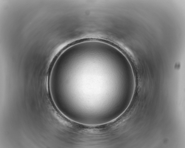 X0000094221272200711021131