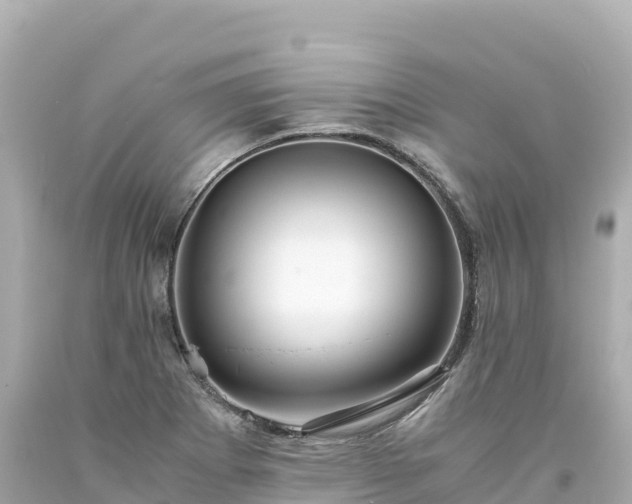 X0000094221273200711021131