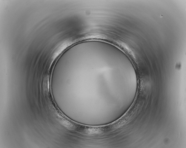 X0000094221274200711021131