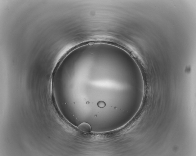 X0000094221275200711021131