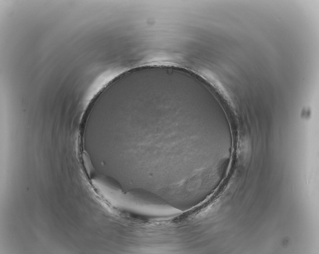 X0000094221277200711021131