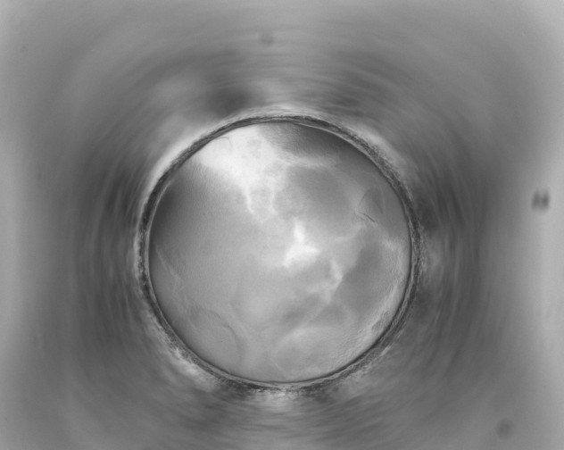 X0000094221278200711021131