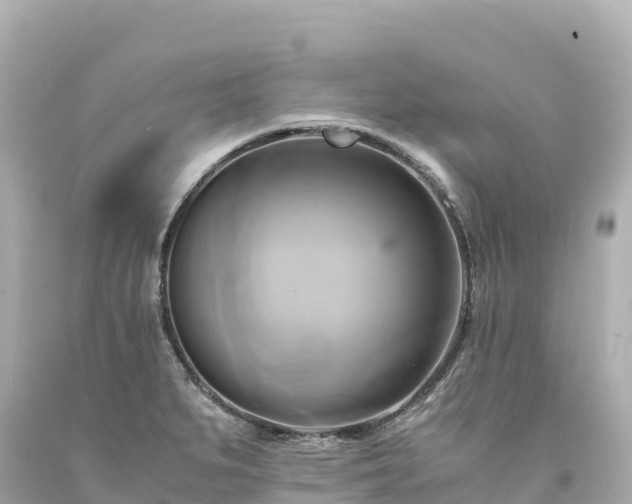 X0000094221279200711021131