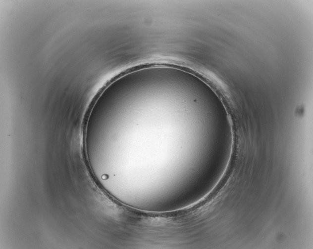 X0000094221280200711021131