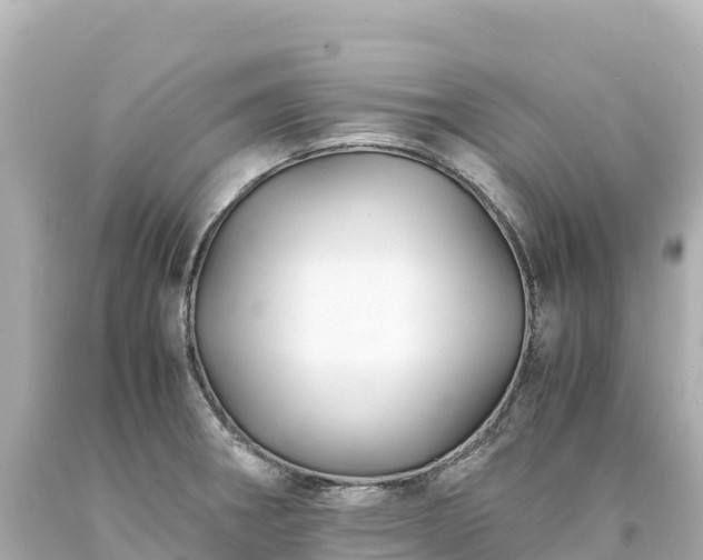 X0000094221282200711021131