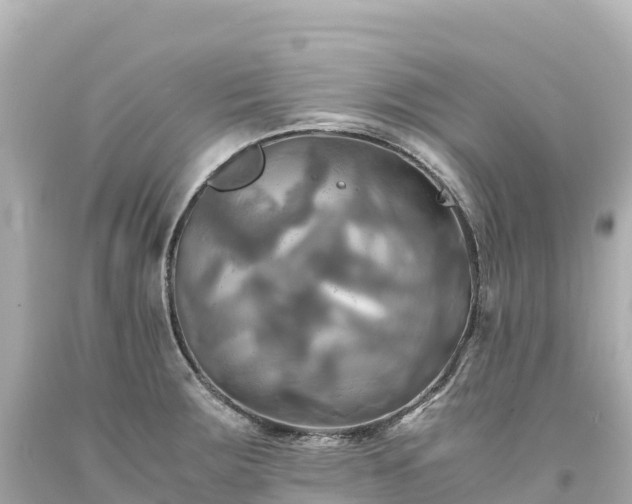 X0000094221283200711021131