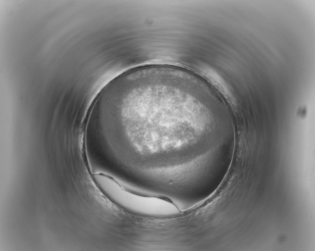 X0000094221284200711021131