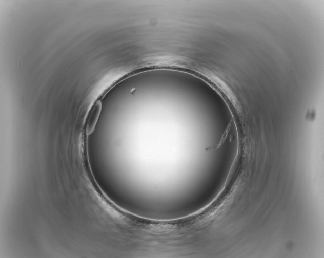 X0000094221285200711021131