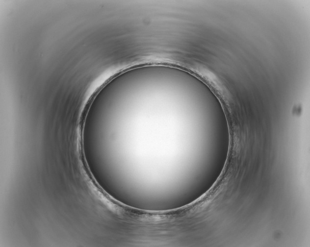 X0000094221286200711021131