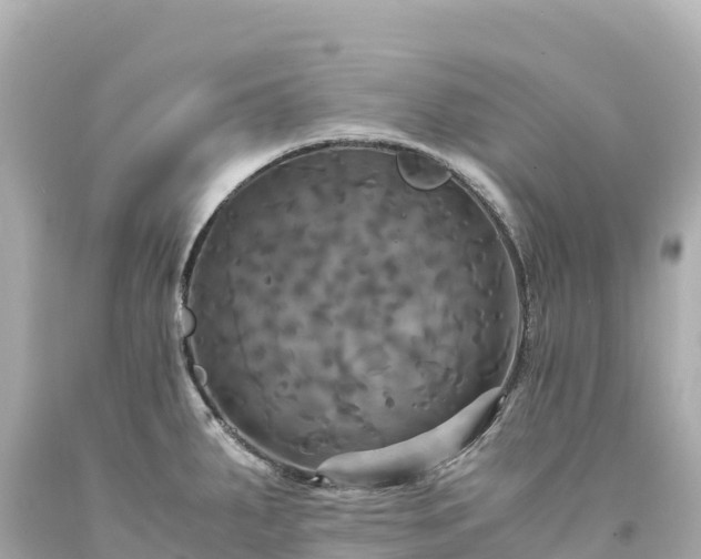 X0000094221287200711021131