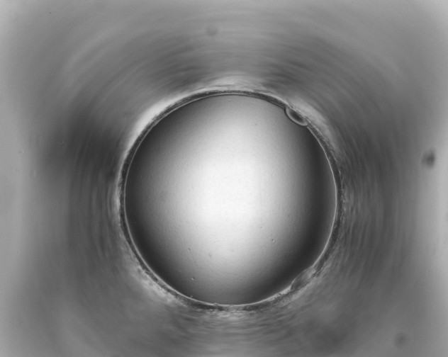 X0000094221288200711021131