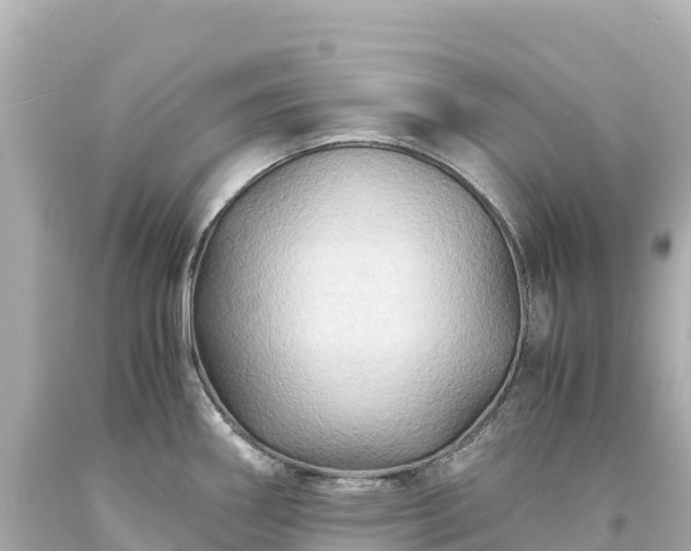 X0000094221290200711021131