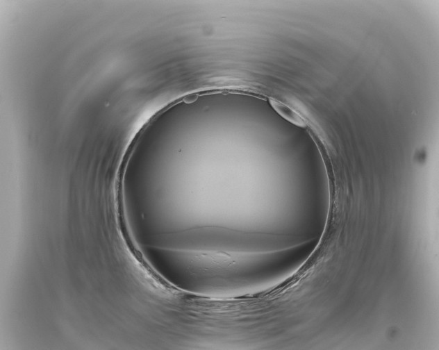 X0000094221291200711021131