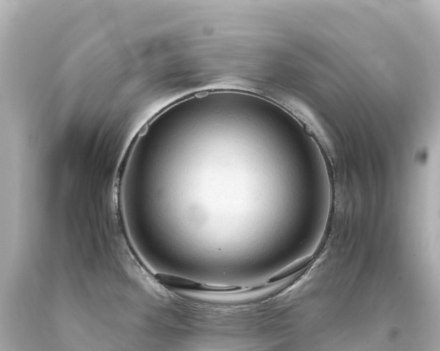 X0000094221292200711021131