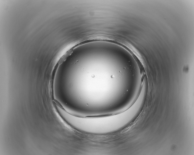 X0000094221293200711021131