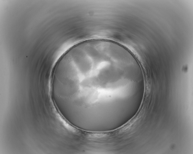 X0000094221294200711021131