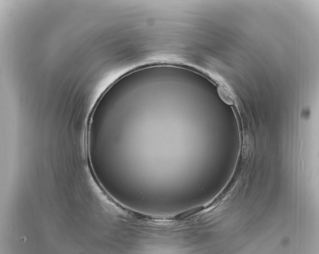 X0000094221295200711021131