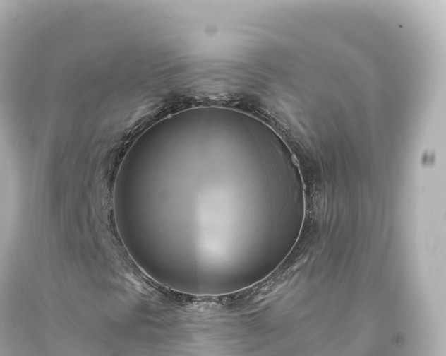 X0000094221297200711021130