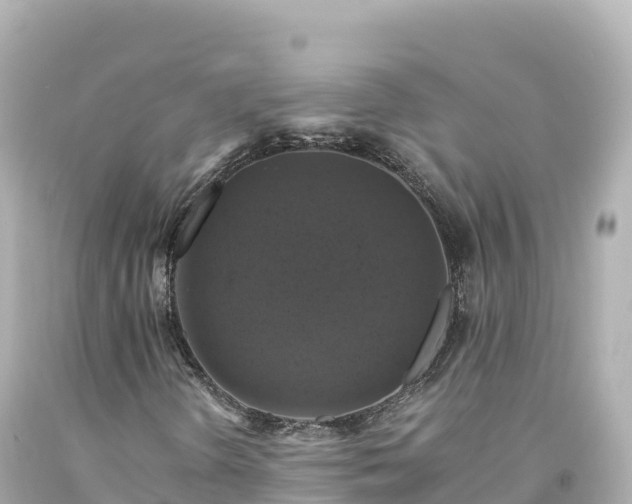 X0000094221298200711021130