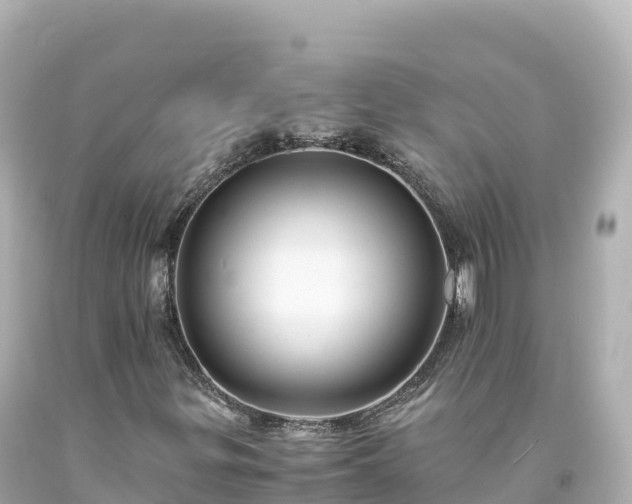 X0000094221299200711021130