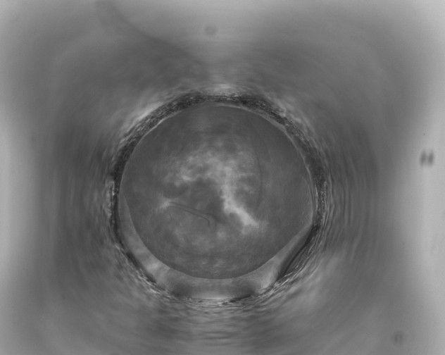 X0000094221301200711021130