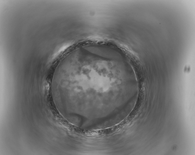 X0000094221302200711021130