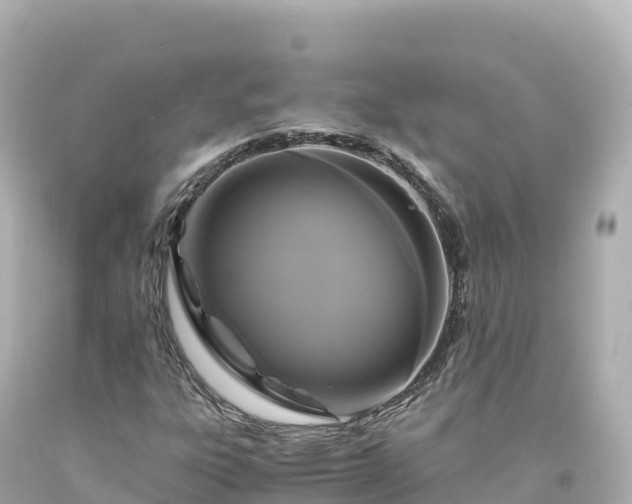 X0000094221303200711021130