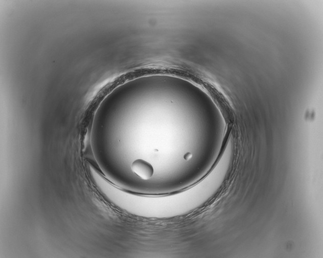 X0000094221304200711021130