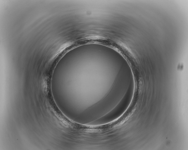 X0000094221305200711021130