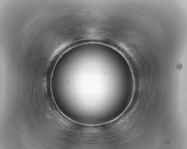 X0000094221307200711021130