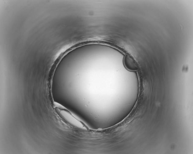 X0000094221308200711021130